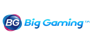 BIG gaming